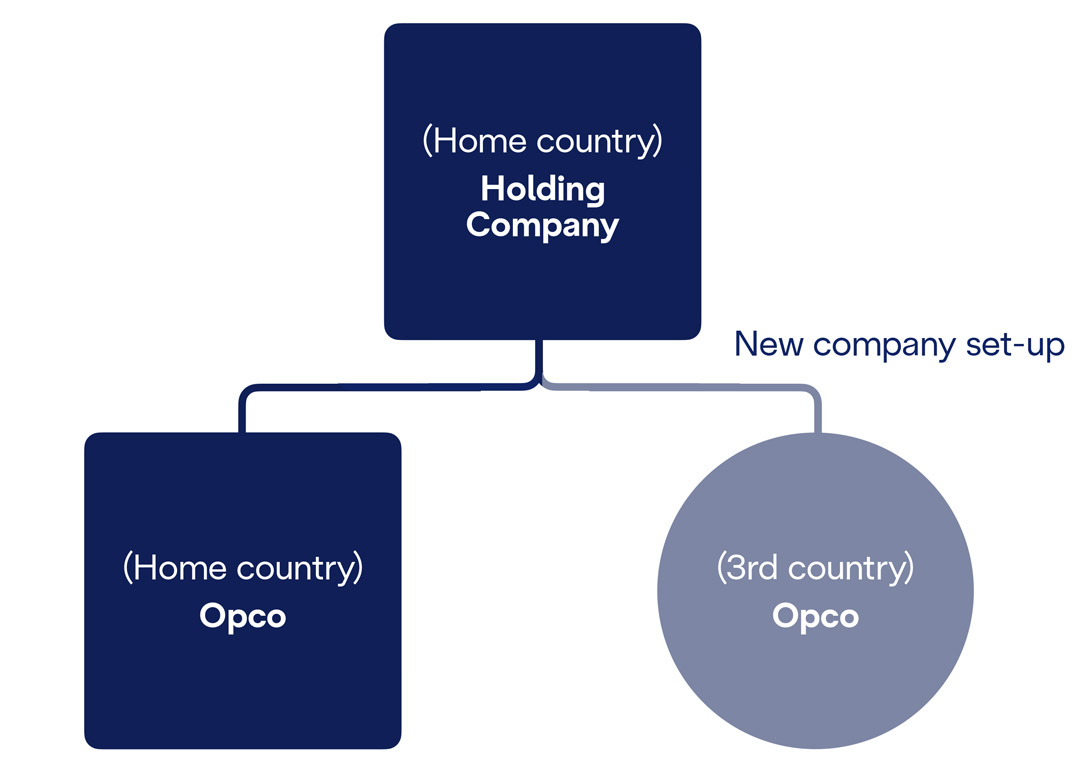 Schema